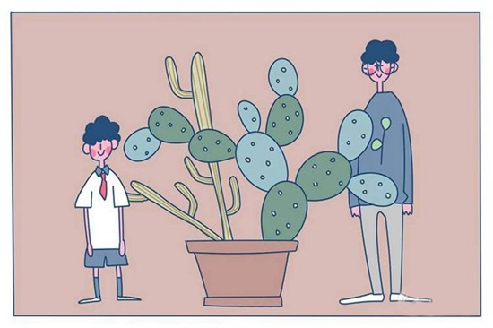 青岛大学留学预科班怎么样？值不值得报考？