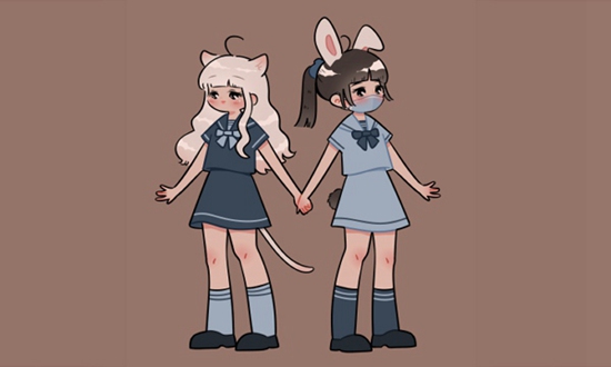 上海进华中学美国圣玛丽高中靠谱吗