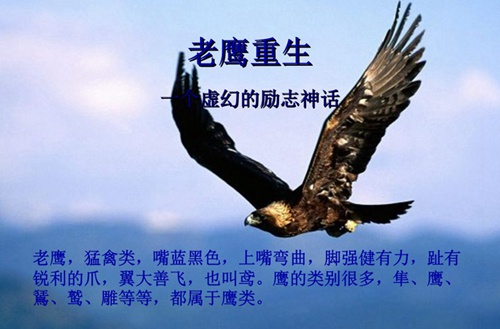 德阳2023年有哪所学校有建筑室内设计专业