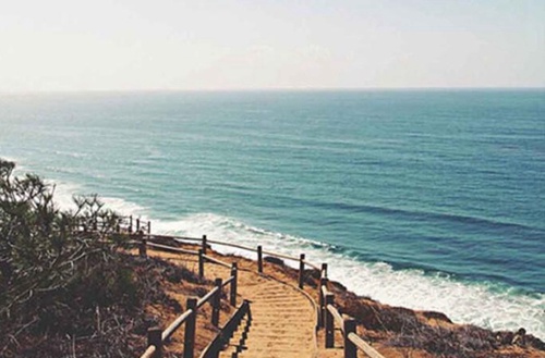 柳州2023年读茶叶生产与加工专业哪所中专学校好