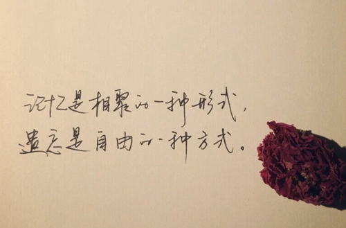 淮安2023年电子商务专业哪个中专学校好