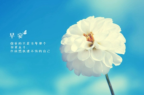 金华2023年初中生读音乐舞蹈专业哪所学校好