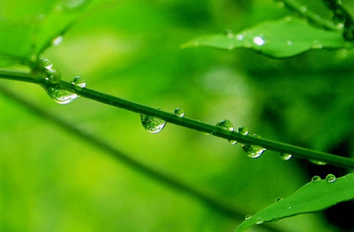 德阳2023年初中生读应急管理与减灾技术专业有哪些学校