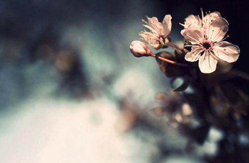 肇庆2023年比较好且开设有电气自动化设备安装与维修专业的中专学校有哪些