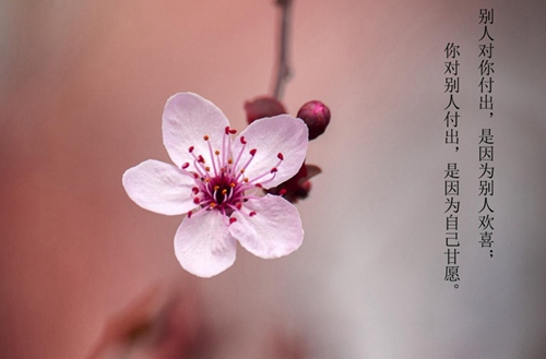 2023年建筑工程施工专业石家庄哪个中专学校好