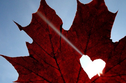 荆州2023年读学前教育专业哪所中专学校好