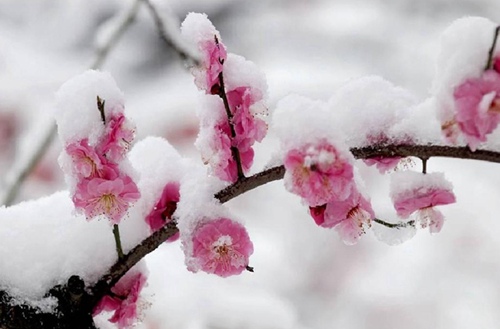 南宁2023年初中生读数控技术应用(机械加工技术)专业有哪些学校