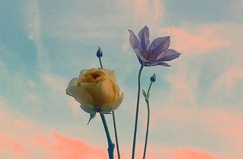 柳州2023年开设现代物流服务与管理专业的职业学校有哪些