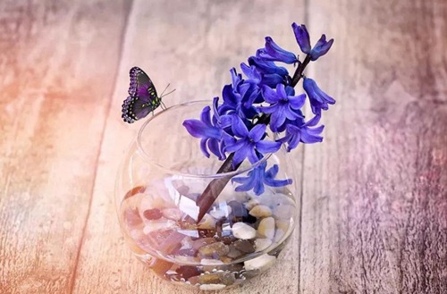 恩施2023年哪个中专学校的计算机应用专业好