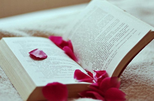 2023年石家庄电子商务专业技工学校哪所好