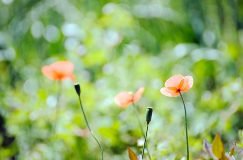 汕尾2023年比较好且开设有城市轨道交通运营管理专业的中专学校有哪些