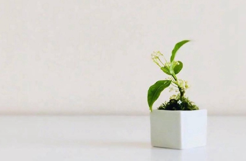 深圳2023年初中生读计算机动漫与游戏制作专业有哪些学校