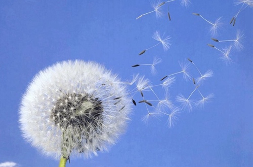 2023年沧州模具制造技术专业职业学校推荐 哪所学校好