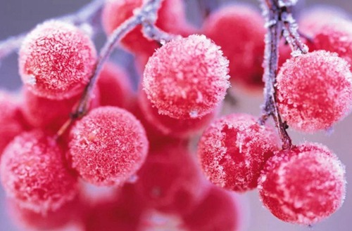 2023年城市轨道交通运营管理专业重庆哪个好