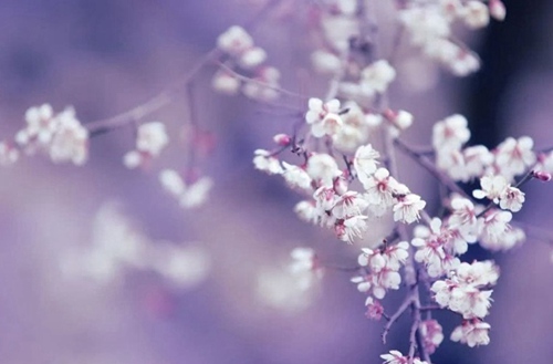 广州2023年初中生读航空服务专业哪所学校好