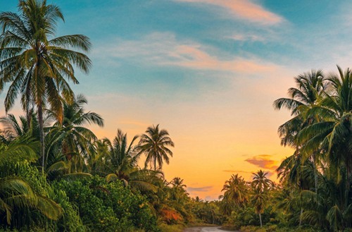 南宁2023年电子商务专业哪个职业学校好