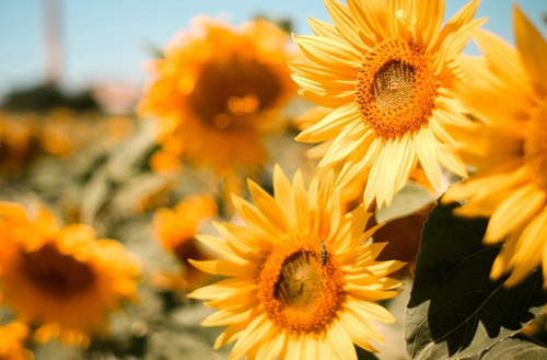 贵阳2023年比较好且开设有数控加工专业的中专学校有哪些