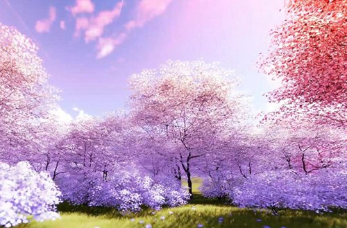 合肥2023年比较好且开设有无人机应用专业的中专学校有哪些