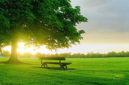 2023年黄山导游服务专业中专学校推荐 哪所学校好