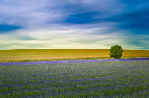 柳州2023年读轨道交通自动化技术专业哪所职业学校好