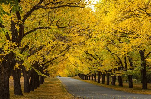 2023年物流服务与管理专业宜春哪个职业学校好