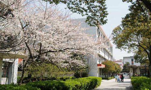 舟山2023年读电子商务专业哪所学校好