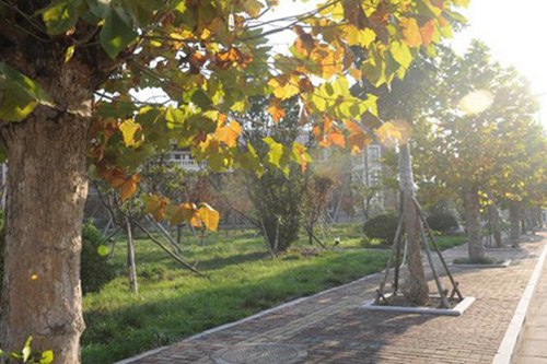 2023年读电子电器应用与维修专业选择防城港哪所职业学校比较好