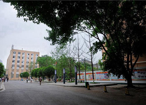 江门2023年比较好且开设有商务英语专业的职业学校有哪些