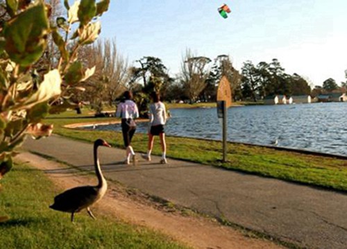 桂林2023年铁路客运服务专业哪个技工学校好