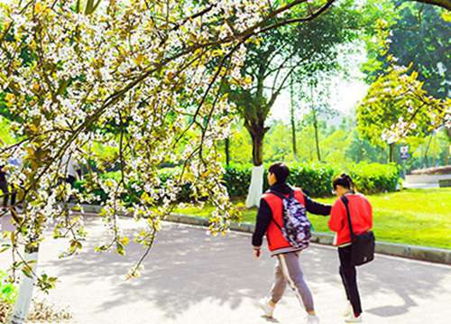 咸宁2023年哪个中专学校的工业机器人应用与维护专业好