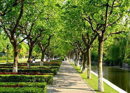 2023年南宁运输管理(地铁高铁方向)专业职业学校推荐 哪所学校好