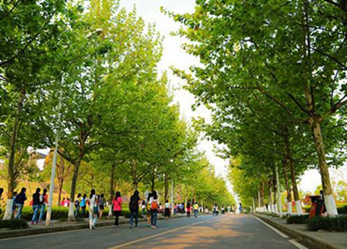 潜江2023年初中生读种植专业有哪些学校