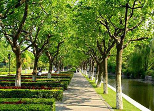 2023年市场营销专业温州哪个职业学校好