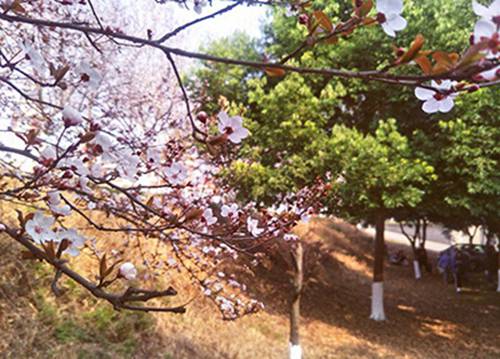 张家口2023年航空服务专业哪个中专学校好