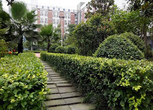 平凉2023年读旅游管理与服务专业去哪所学校好