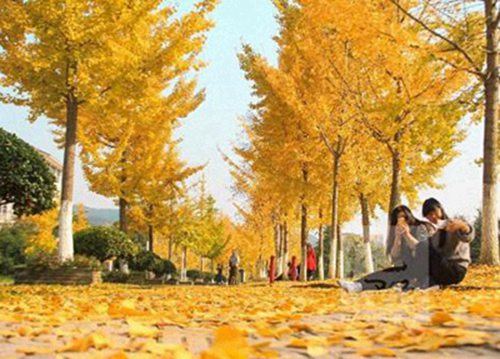 郑州2023年读电子技术应用专业去哪所学校好
