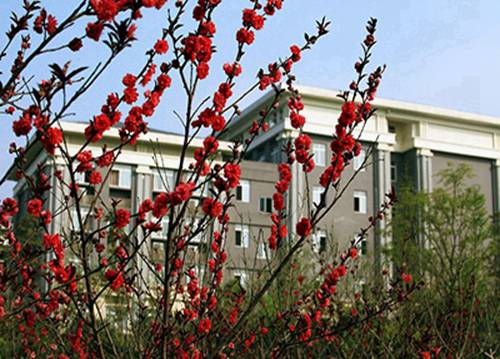 南宁2023年开设工艺美术(室内设计)专业的职业学校有哪些